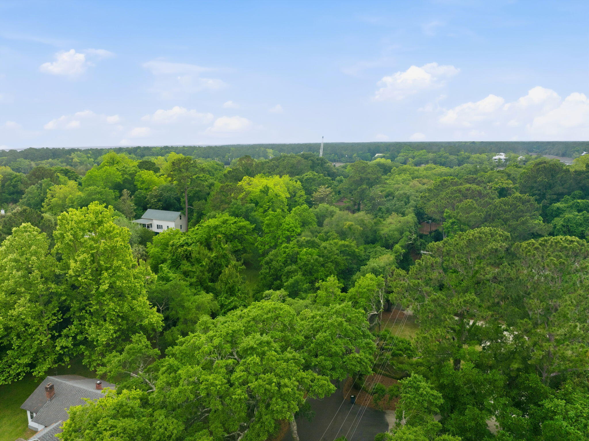 135 Scotia Street McClellanville, SC 29458 - Photo 12 of 17 Aerial