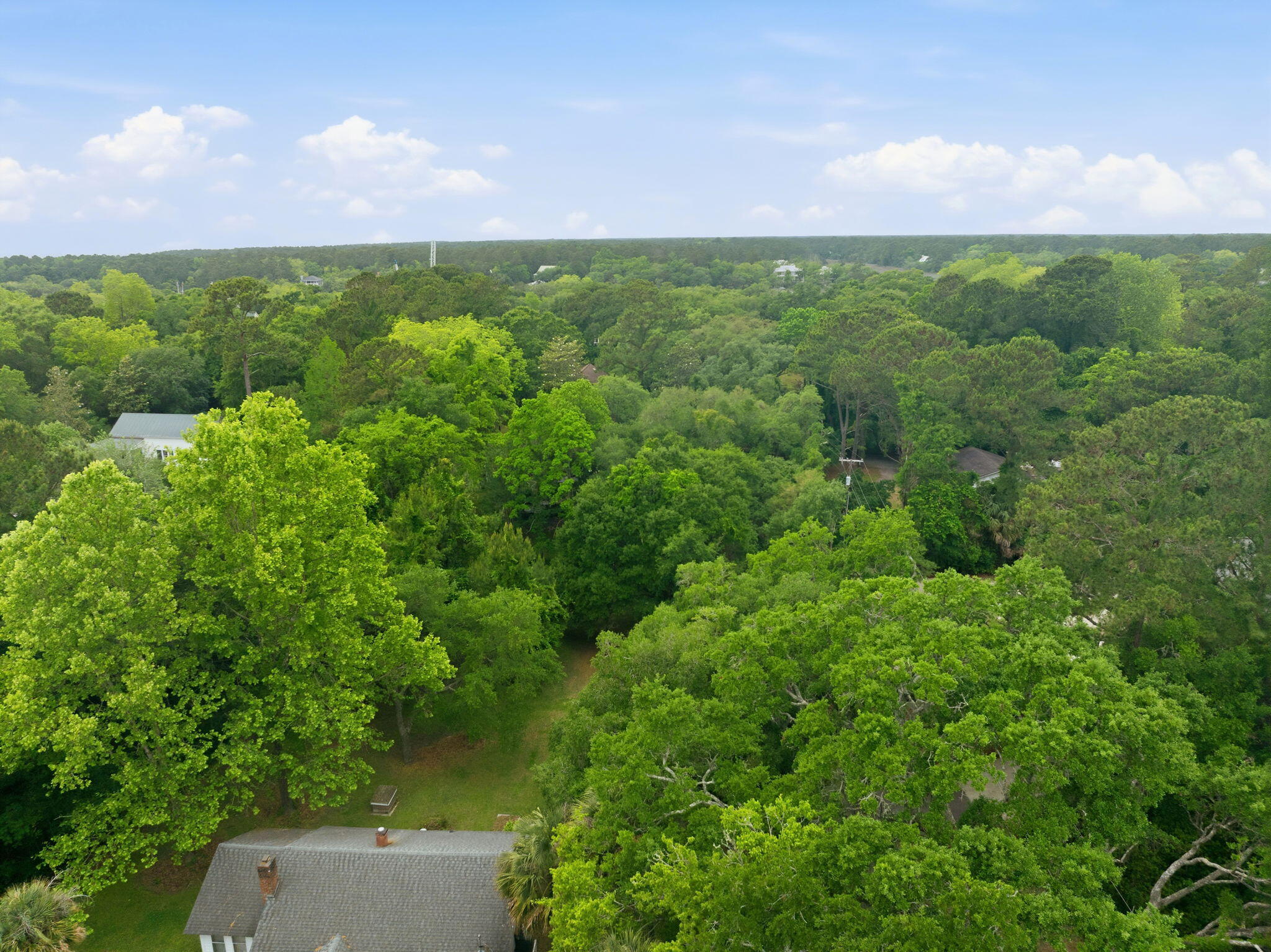 135 Scotia Street McClellanville, SC 29458 - Photo 13 of 17 Aerial