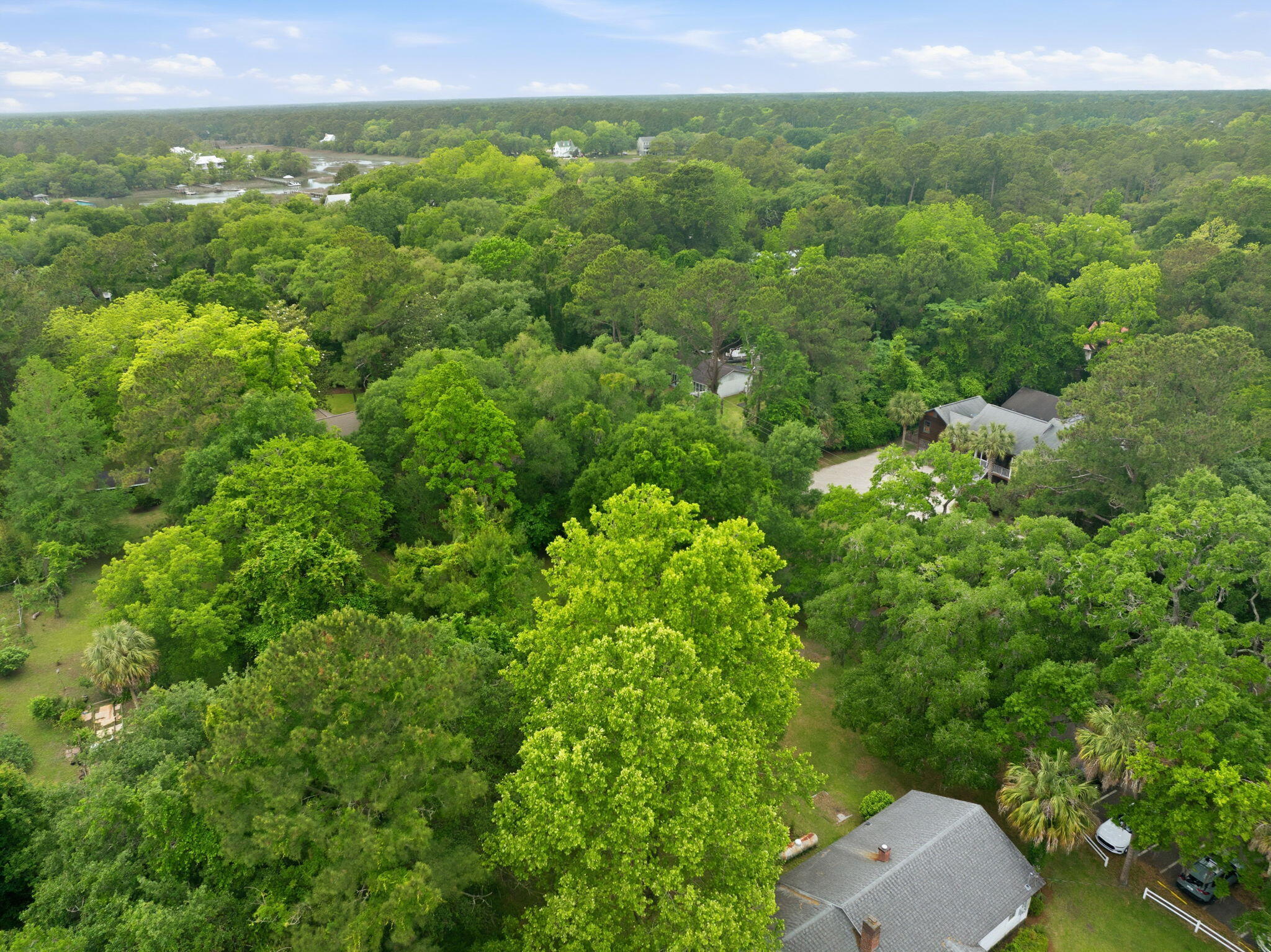 135 Scotia Street McClellanville, SC 29458 - Photo 14 of 17 Aerial