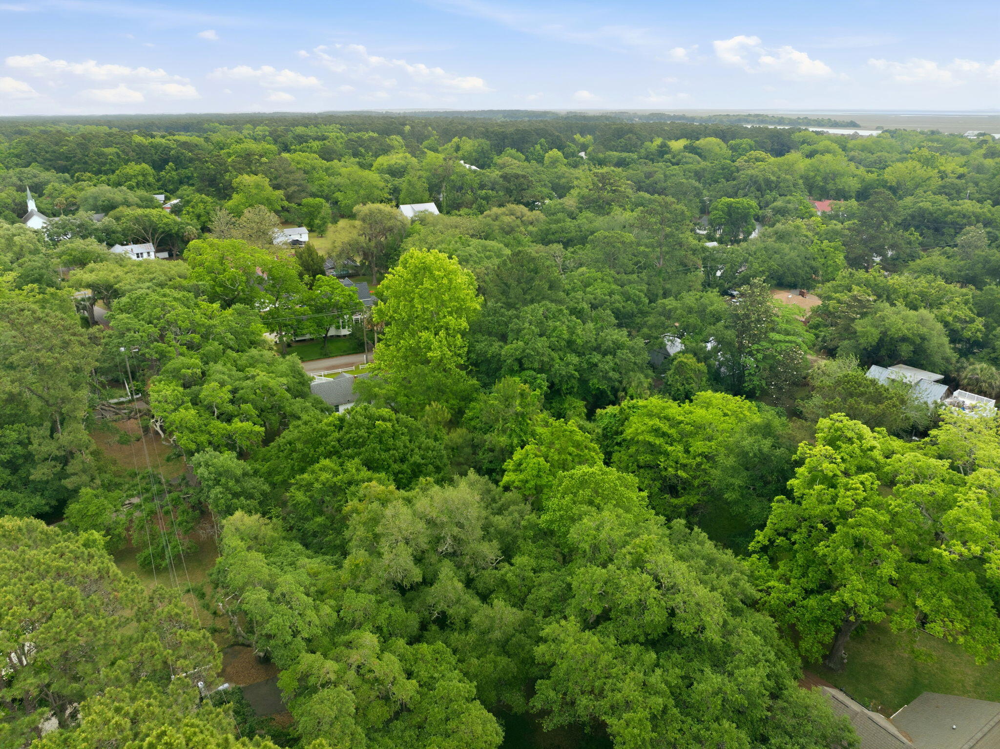 135 Scotia Street McClellanville, SC 29458 - Photo 15 of 17 Aerial