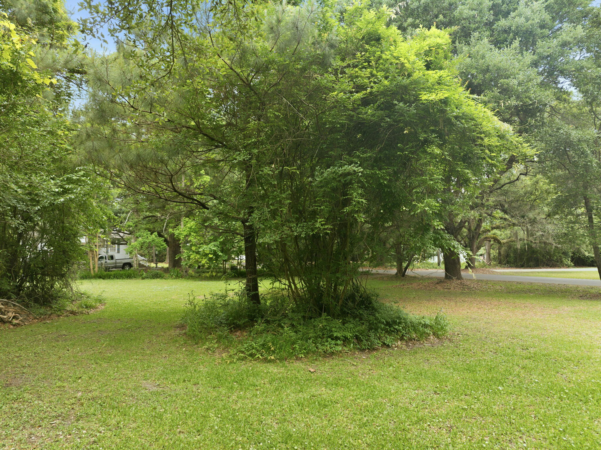 135 Scotia Street McClellanville, SC 29458 - Photo 5 of 17 Rear to Street