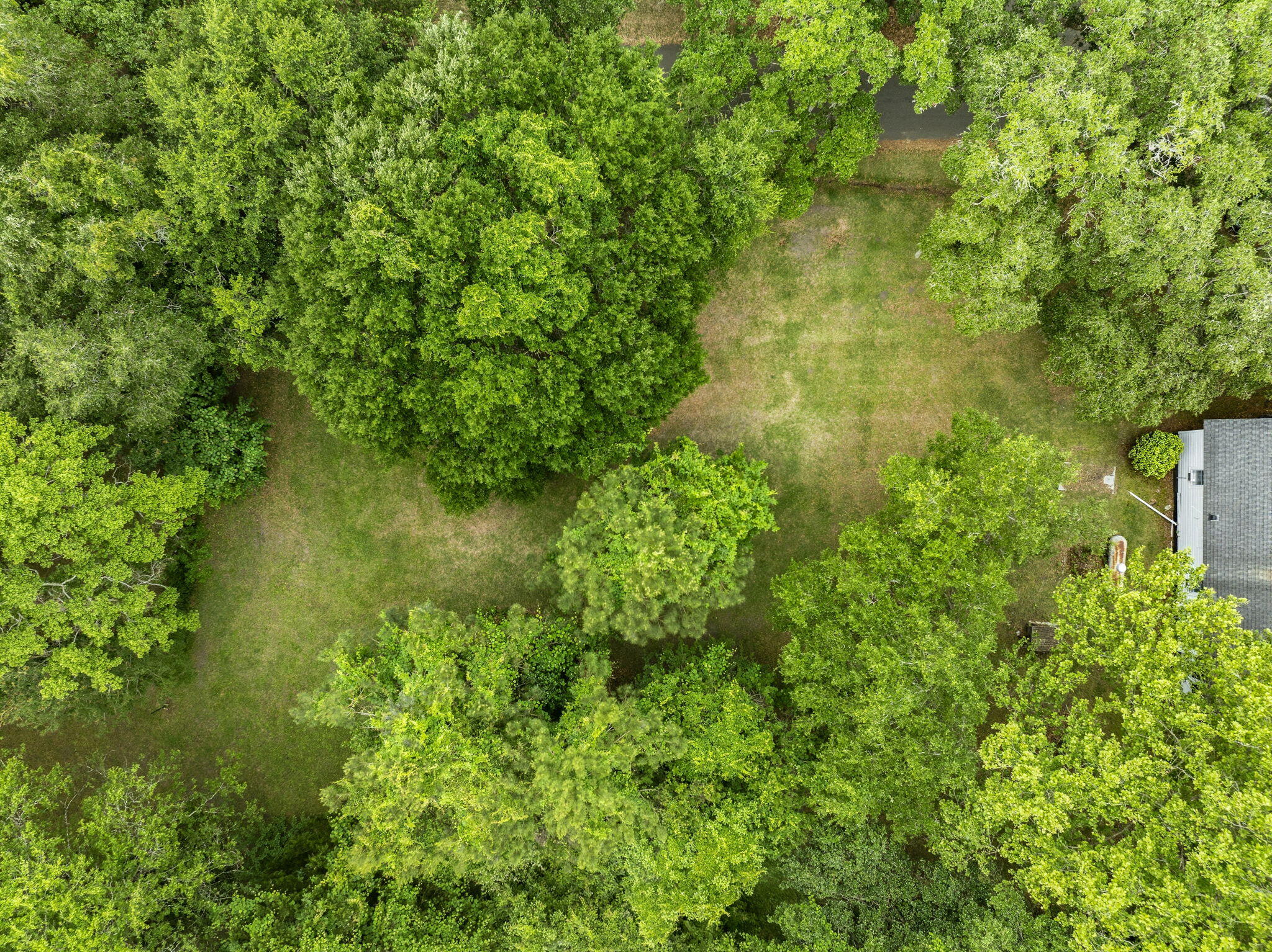 135 Scotia Street McClellanville, SC 29458 - Photo 7 of 17 Overhead