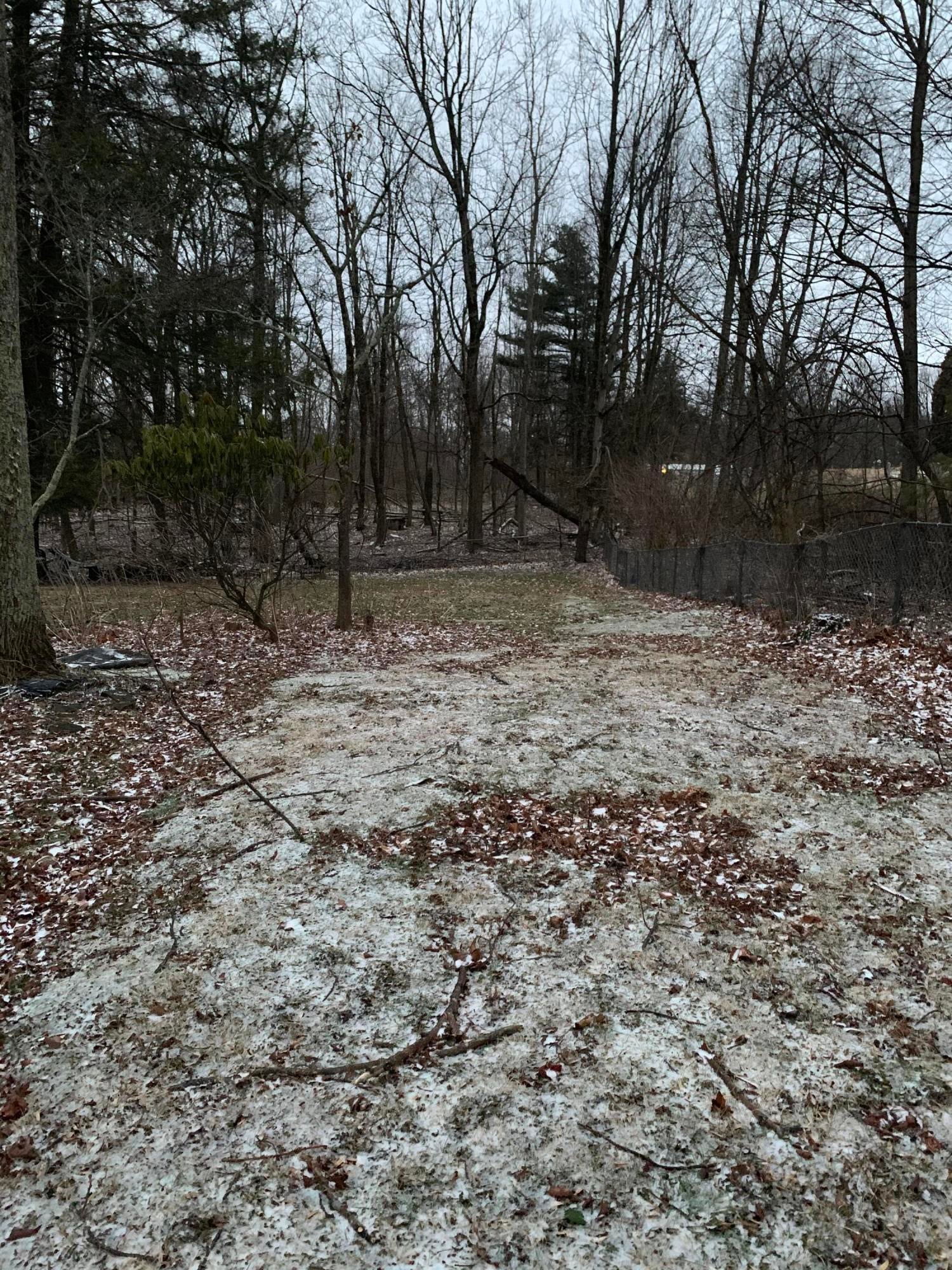 66 Field Road Nettie, WV 26681 - Photo 4 of 5 Gallery Image 4