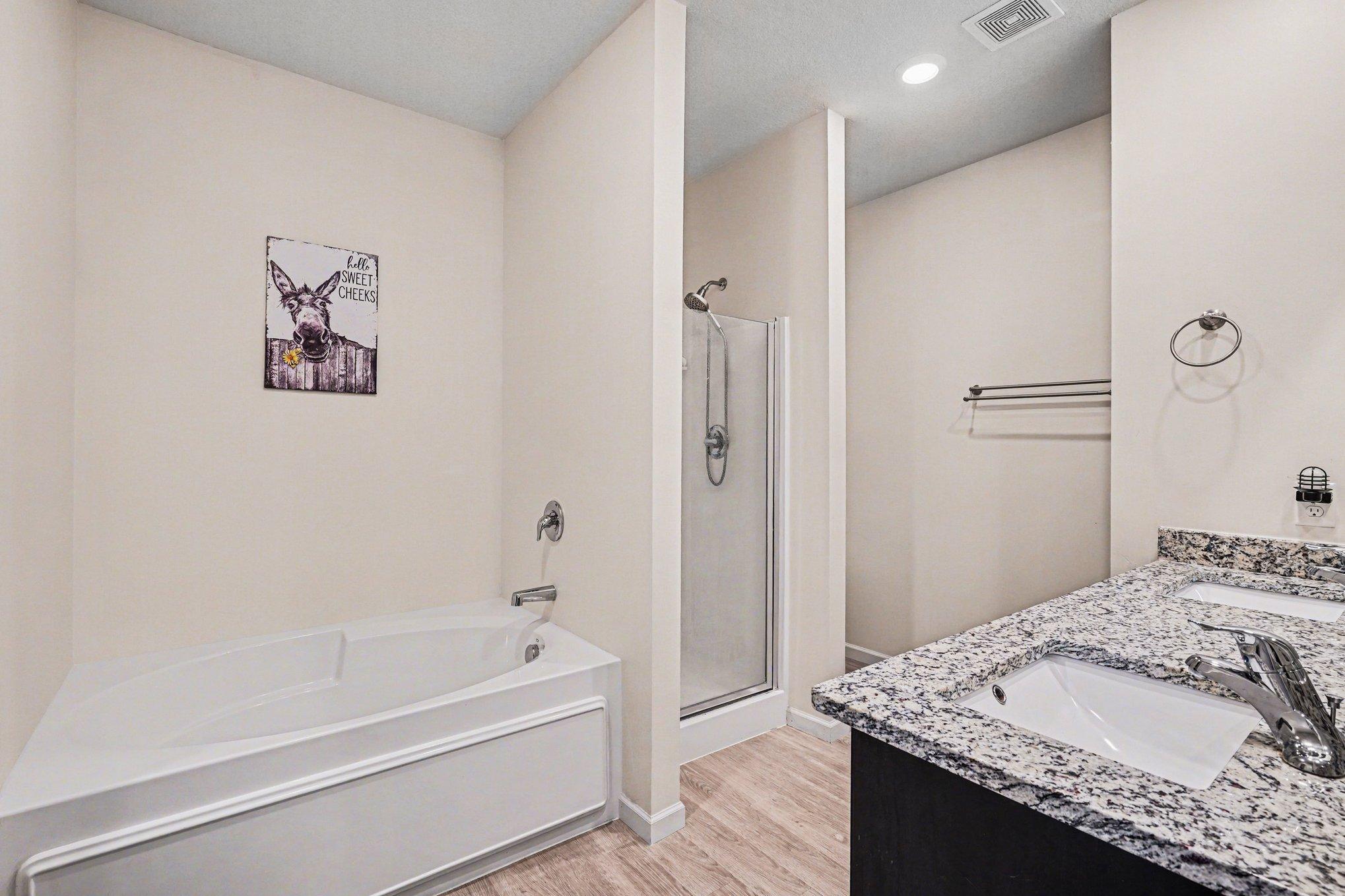 5462 395th Street North Branch, MN 55056 - Photo 9 of 11