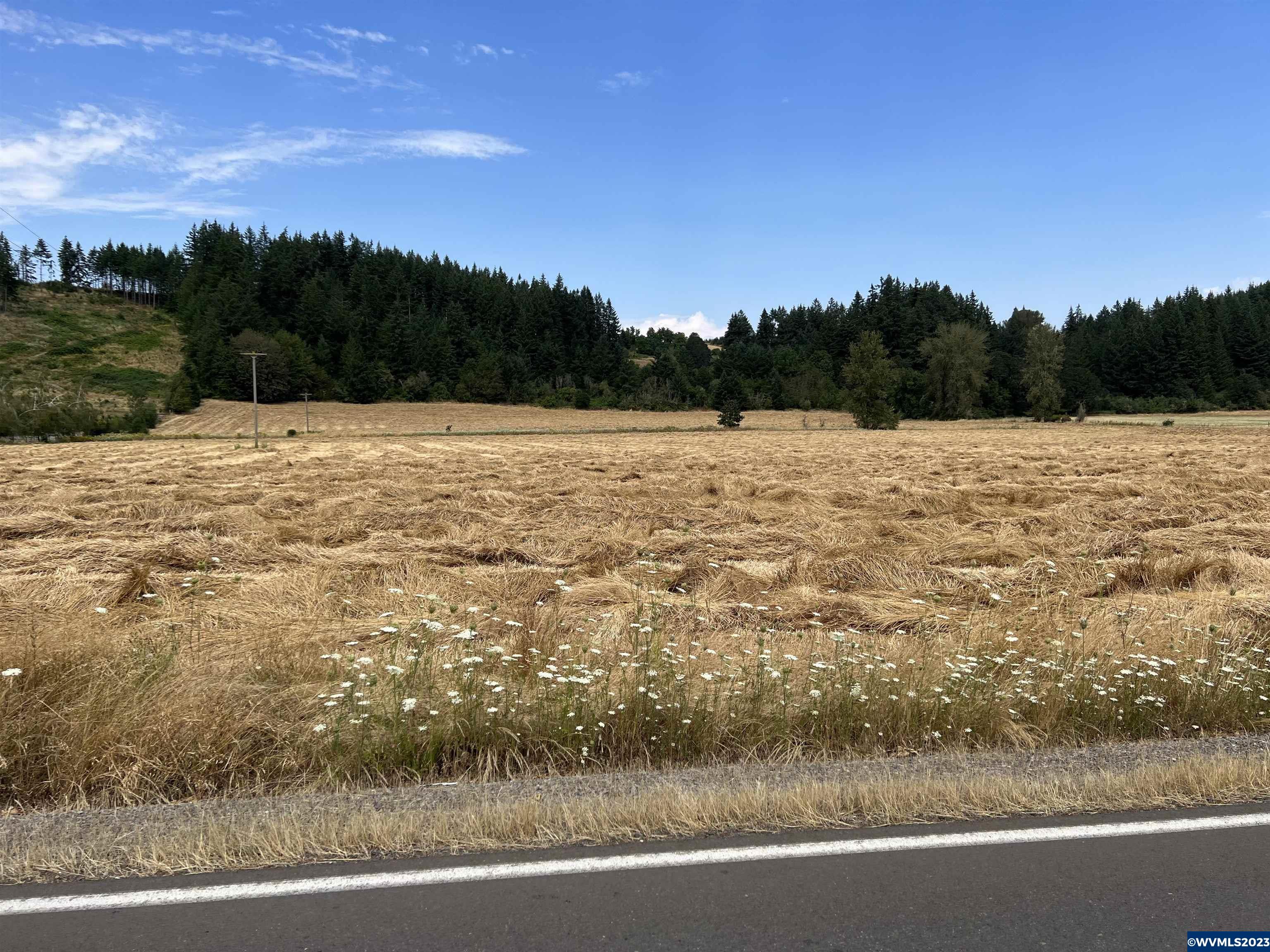 Old Mehama (by To 15700) Road Stayton, OR 97383 - Photo 4 of 8