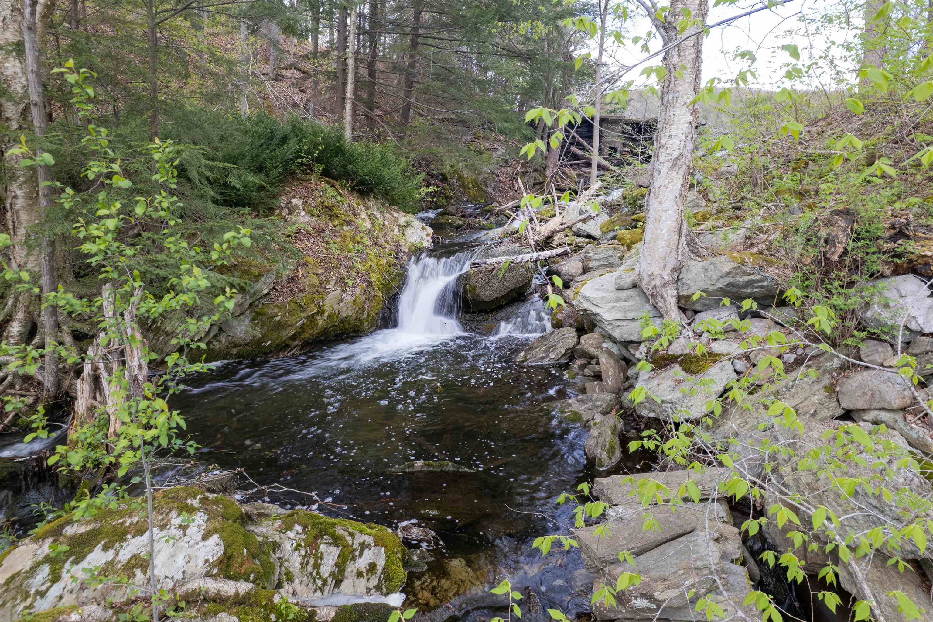 269 Hortonia Road Hubbardton, VT 05735 - Photo 46 of 55