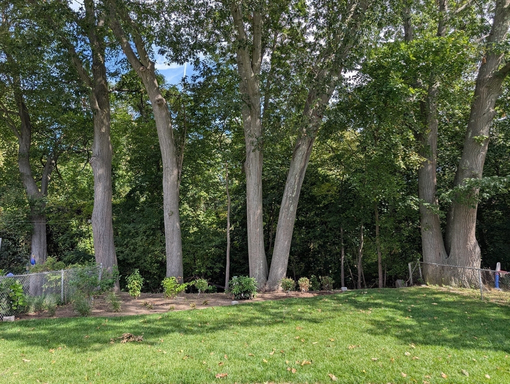 29 Berkeley Street Arlington, MA 02474 - Photo 40 of 42