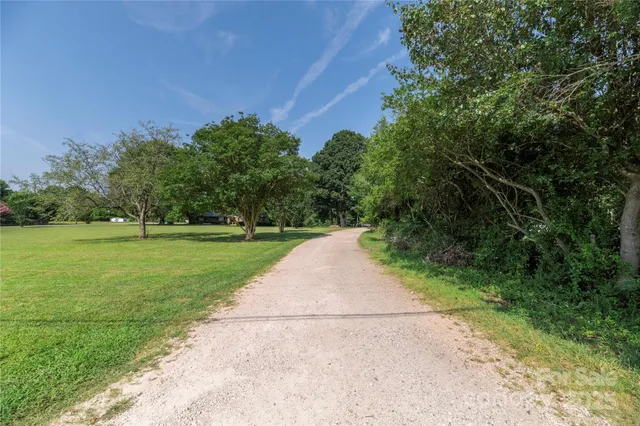 a view of a park with large trees