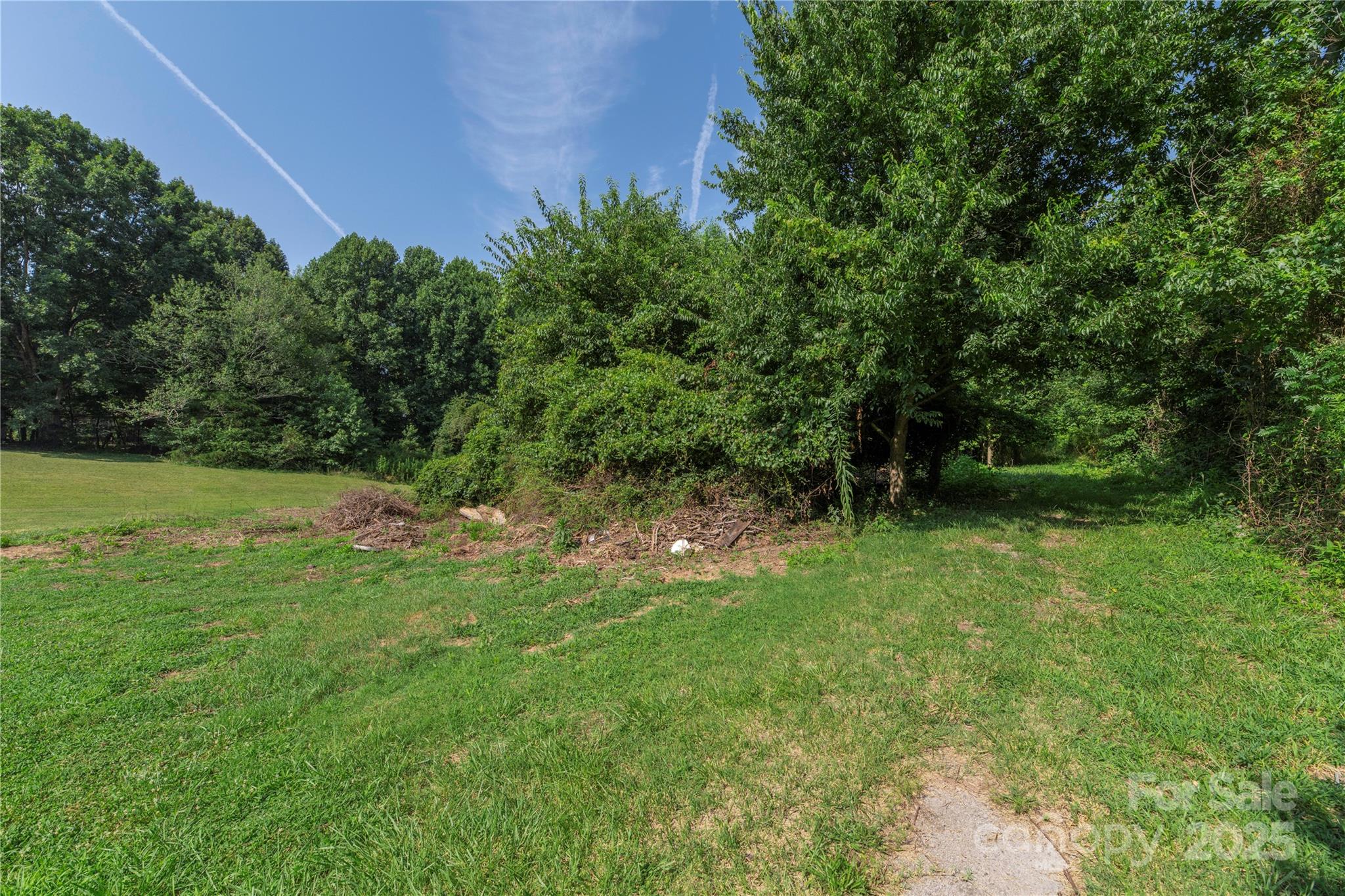 567 Shinnville Road Mooresville, NC 28115 - Photo 7 of 12 a view of a lush green space