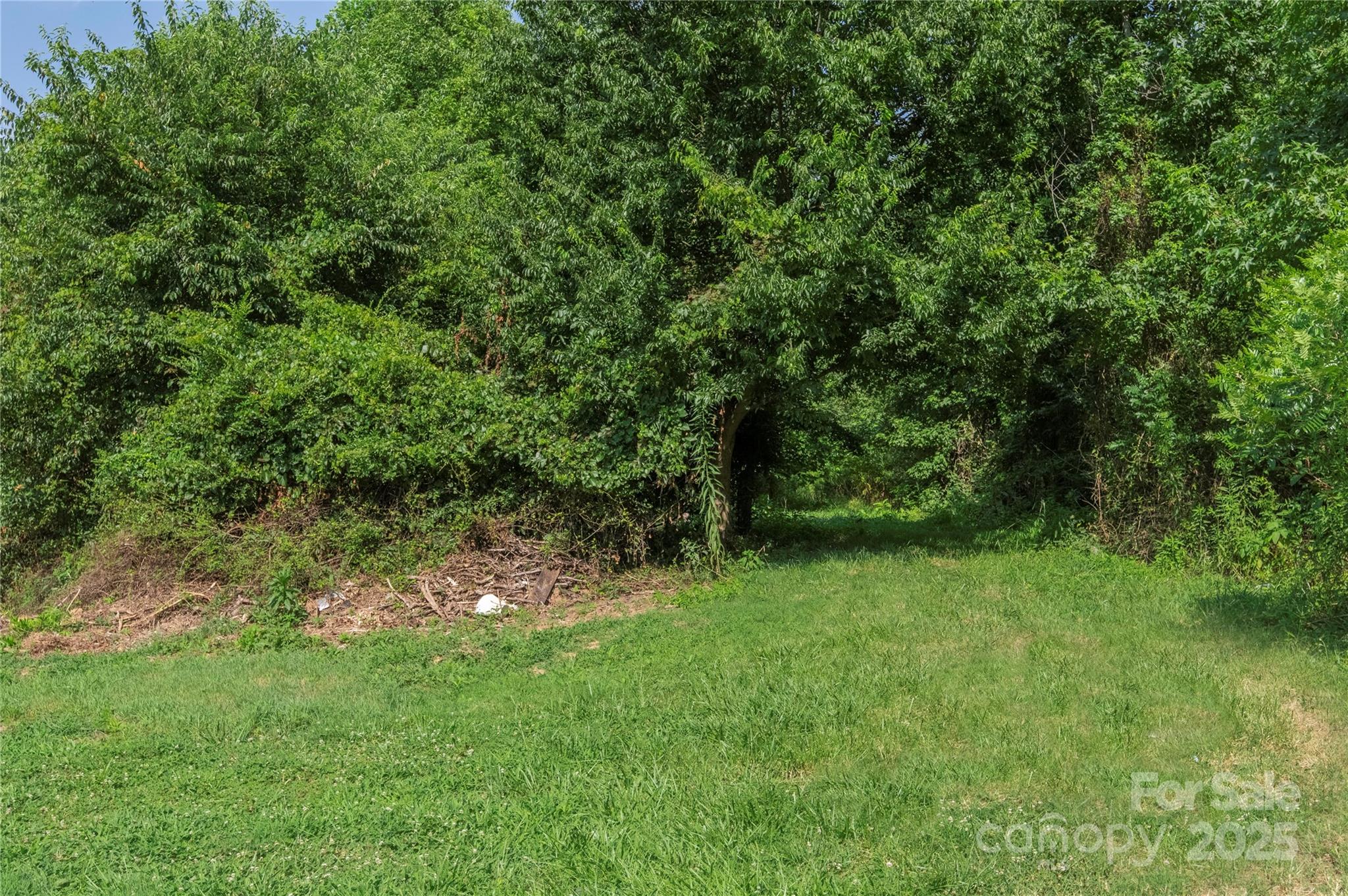 567 Shinnville Road Mooresville, NC 28115 - Photo 9 of 12 a big yard with lots of green space and deers