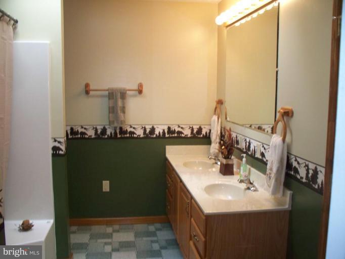 94 Canal Road Falling Waters, WV 25419 - Photo 16 of 29 Master Bath