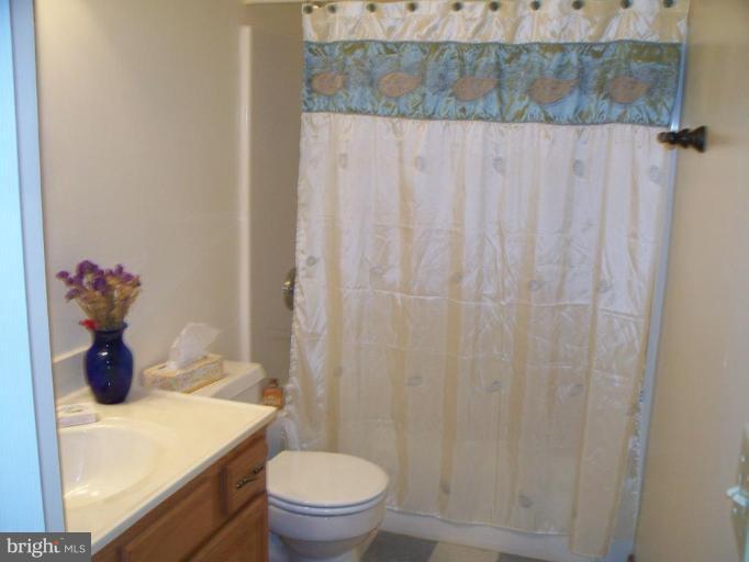 94 Canal Road Falling Waters, WV 25419 - Photo 18 of 29 Bath #2