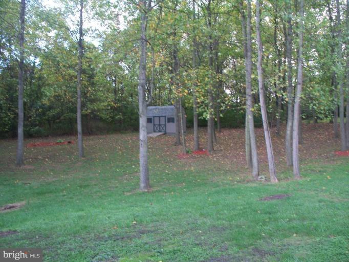 94 Canal Road Falling Waters, WV 25419 - Photo 22 of 29 Deck - View from