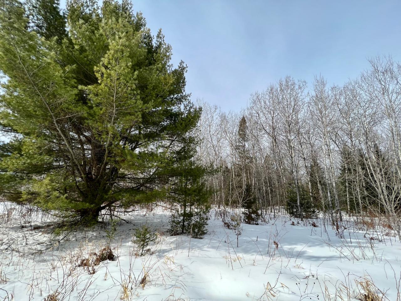 On Big Pine Drive Rhinelander, WI 54501 - Photo 14 of 19 Gallery Image 14