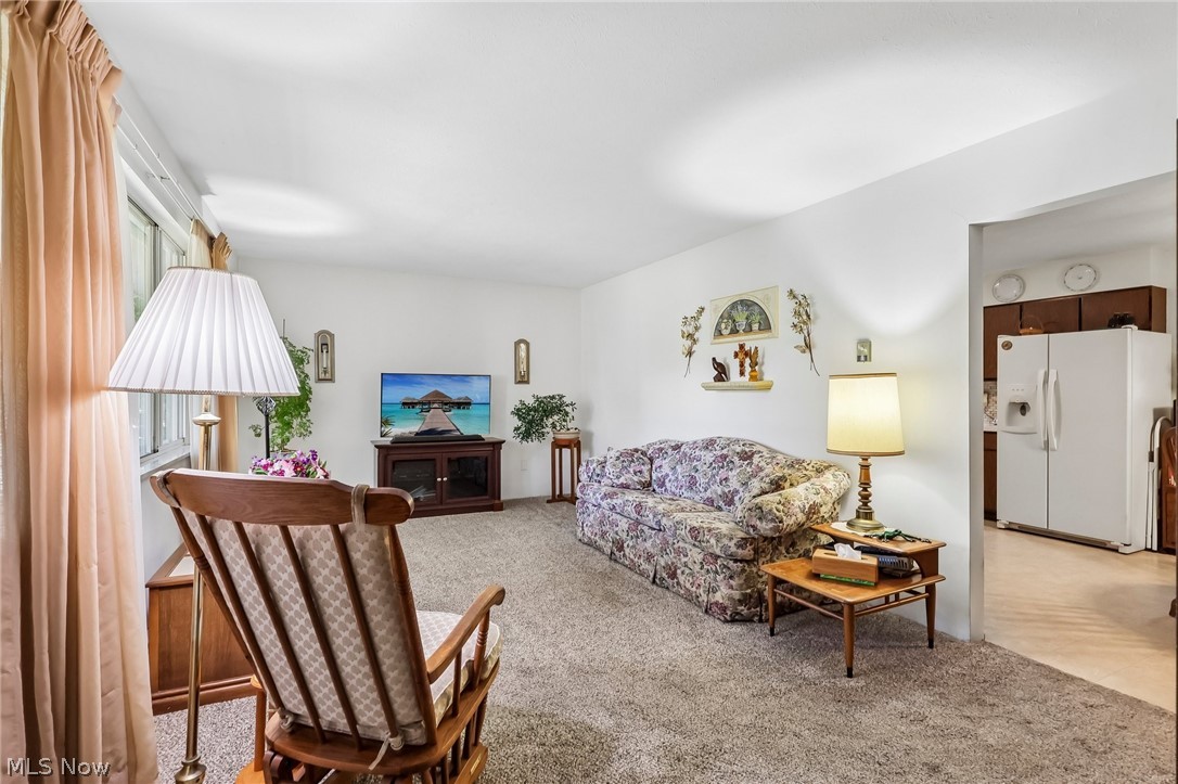 2428 Antioch Road Perry, OH 44081 - Photo 16 of 46 Living area featuring neutral-toned carpeting and white wall finishes