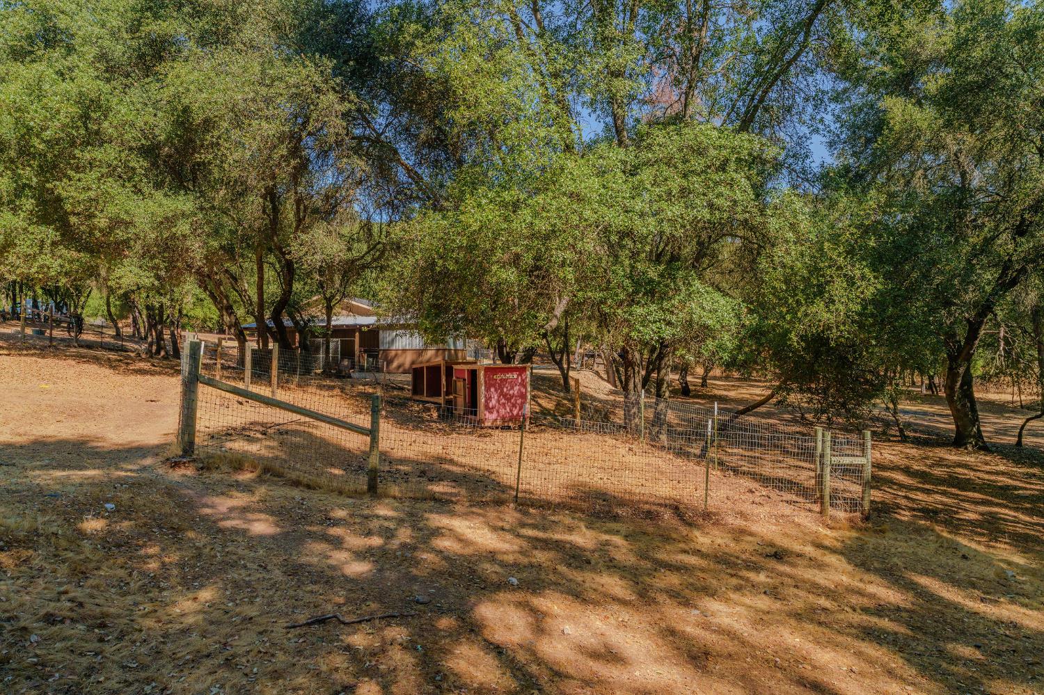 2988 Spring Hill Road San Andreas, CA 95249 - Photo 60 of 95