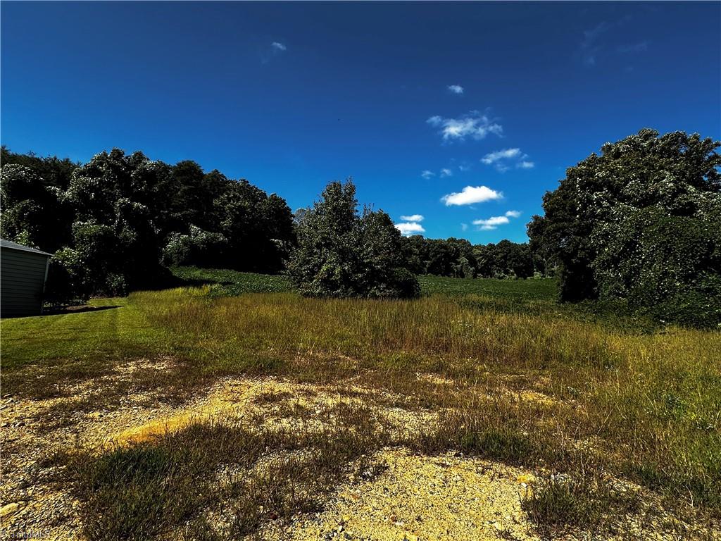 1065 Reid Road King, NC 27021 - Photo 2 of 5 1+ acre lot with septic - corners are marked with stakes with red survey flags.
