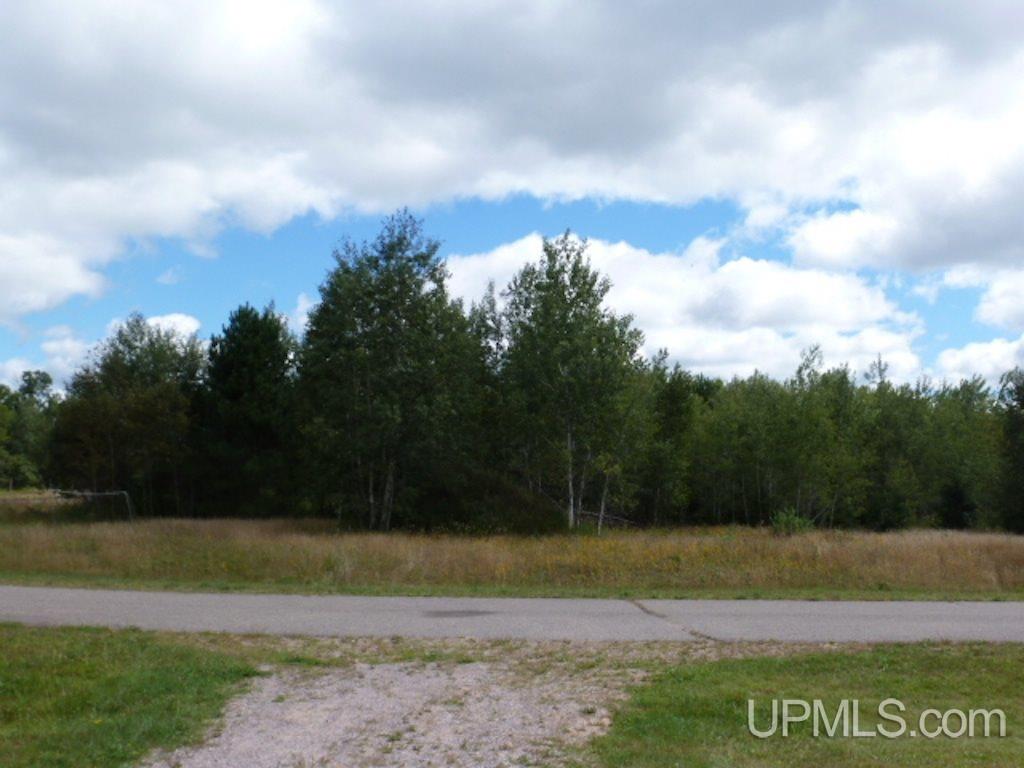 436 Town Hall Road Skandia, MI 49885 - Photo 31 of 32