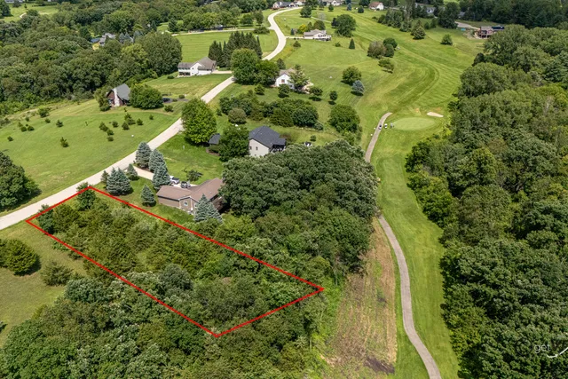 a view of a garden with a flower