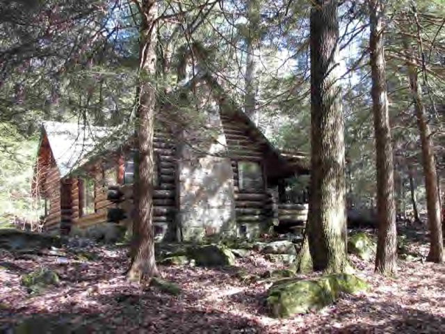 Main View