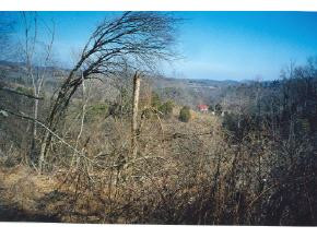 81 Jackson Hollow Road Mosheim, TN 37818 - Photo 2 of 3 Photo 2