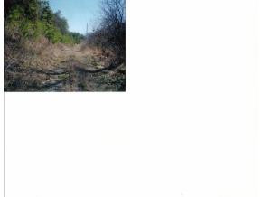 81 Jackson Hollow Road Mosheim, TN 37818 - Photo 3 of 3 Photo 3