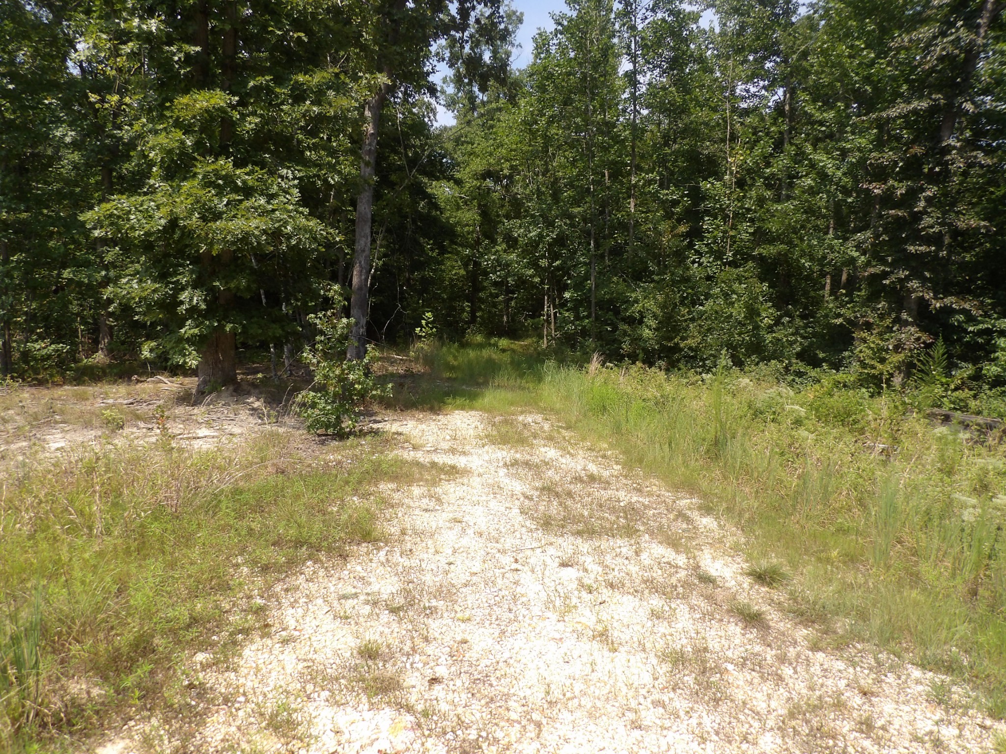 0 Old Union Church Road Holladay, TN 38341 - Photo 3 of 22 Gallery Image 3