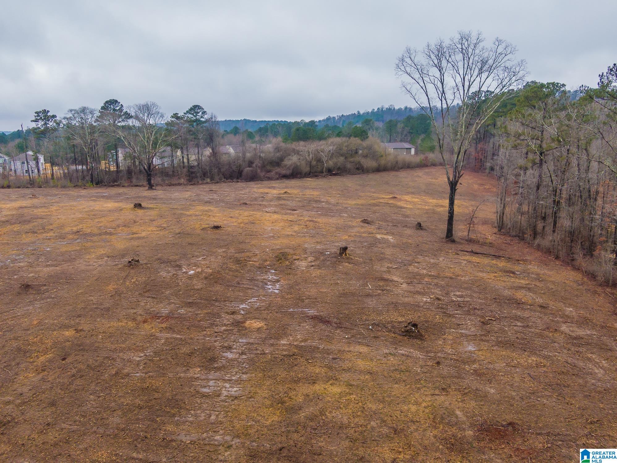 1991 Nixon Road, Unit 1 Bessemer, AL 35022 - Photo 13 of 20