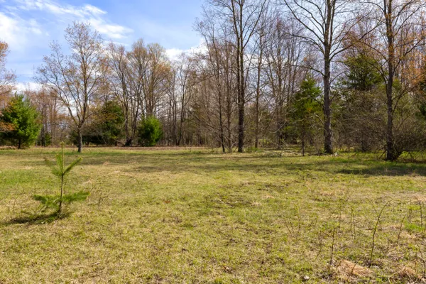 $130,000 | Z0 Dzuibanek Road, Thompsonville, MI 49683