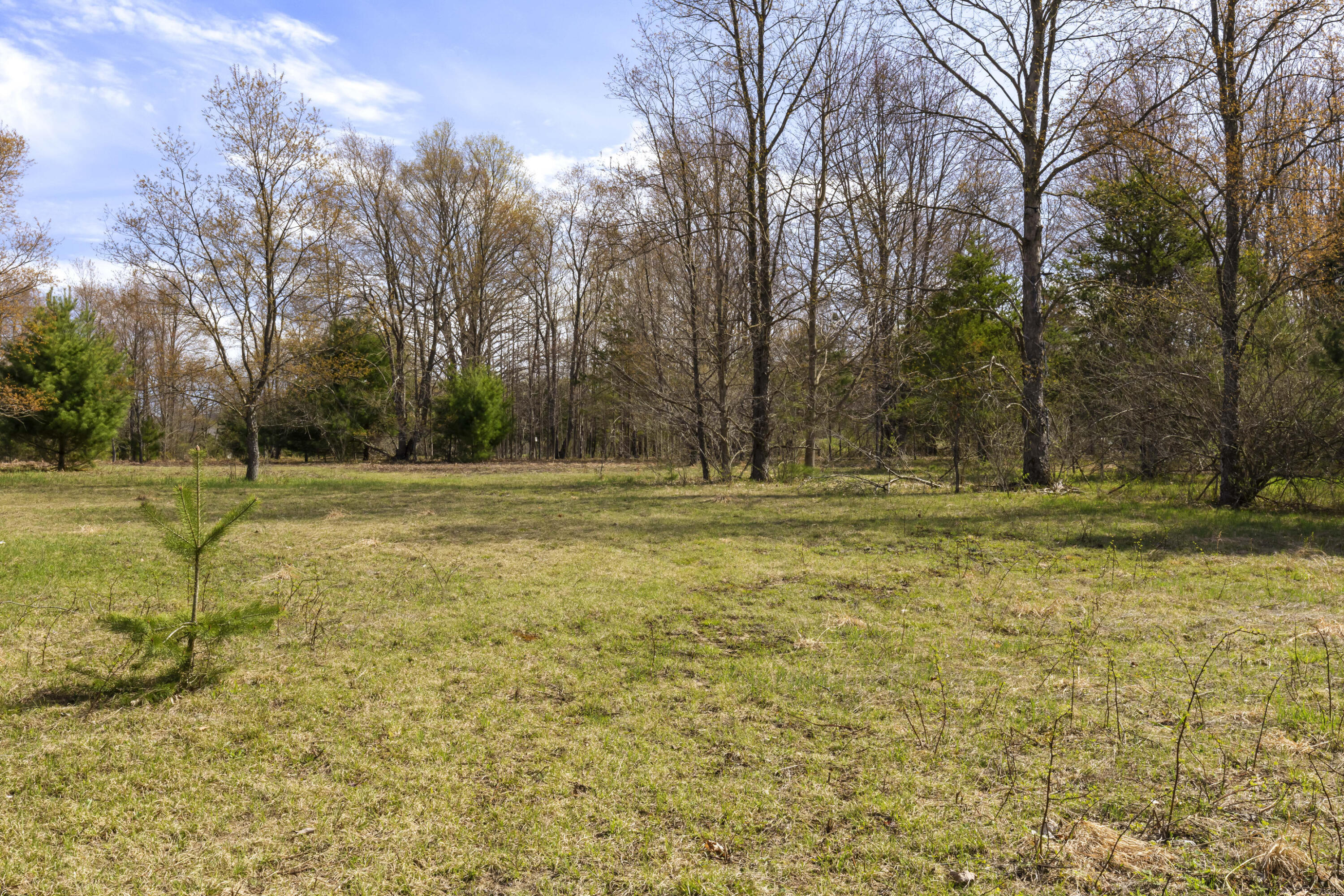 Z0 Dzuibanek Road Thompsonville, MI 49683 - Photo 11 of 19 0S5A5664