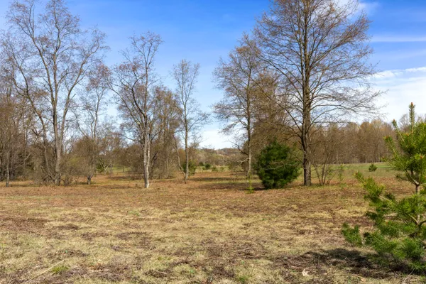 $130,000 | Z0 Dzuibanek Road, Thompsonville, MI 49683