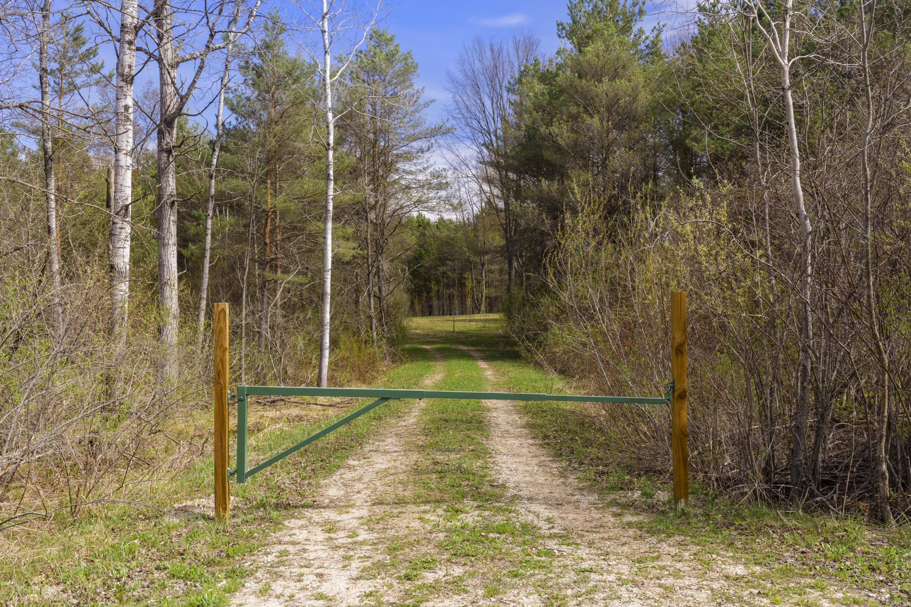Z0 Dzuibanek Road Thompsonville, MI 49683 - Photo 2 of 19 0S5A5689