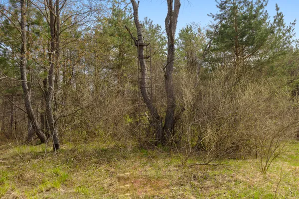 $130,000 | Z0 Dzuibanek Road, Thompsonville, MI 49683