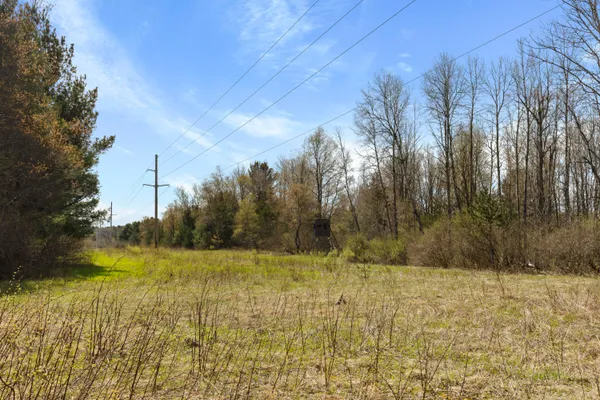 $130,000 | Z0 Dzuibanek Road, Thompsonville, MI 49683