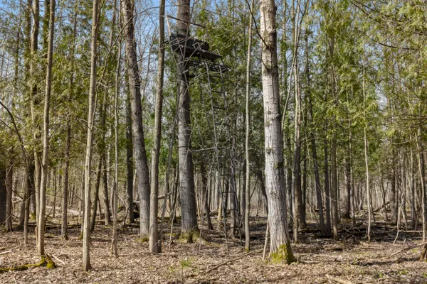 $130,000 | Z0 Dzuibanek Road, Thompsonville, MI 49683