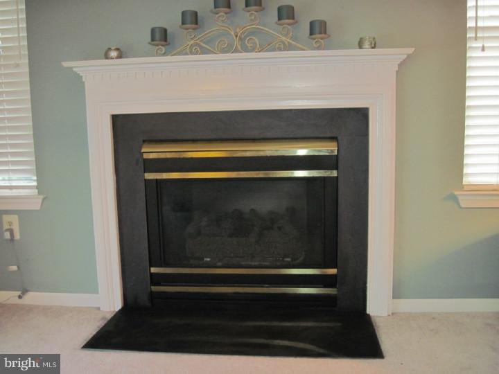 2028 Kepler Road Pottstown, PA 19464 - Photo 15 of 25 Fireplace