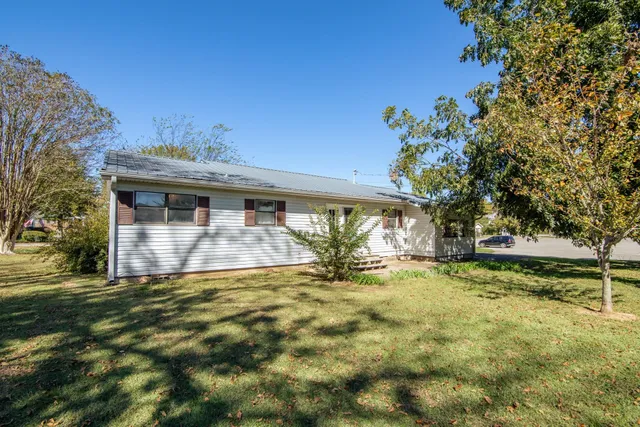 a view of a house with floor to ceiling windows and a tree