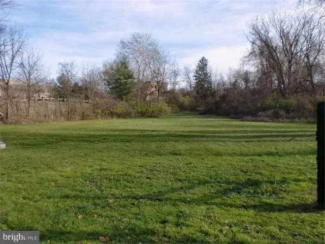 a view of a grassy field with trees