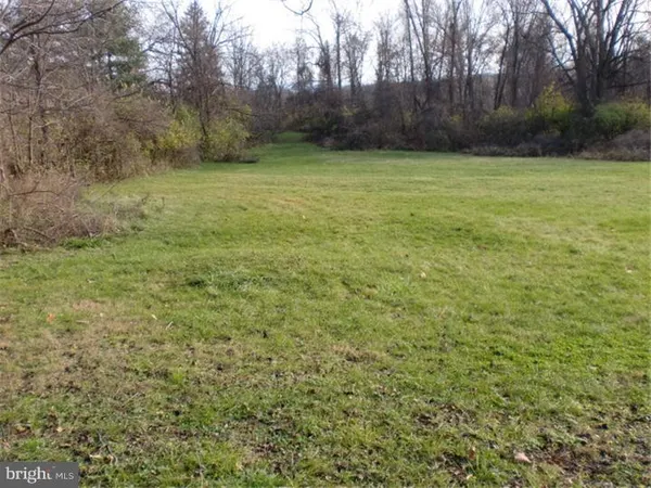 a view of a yard