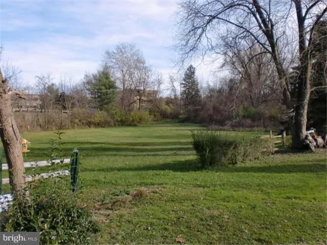 a view of a park with large trees