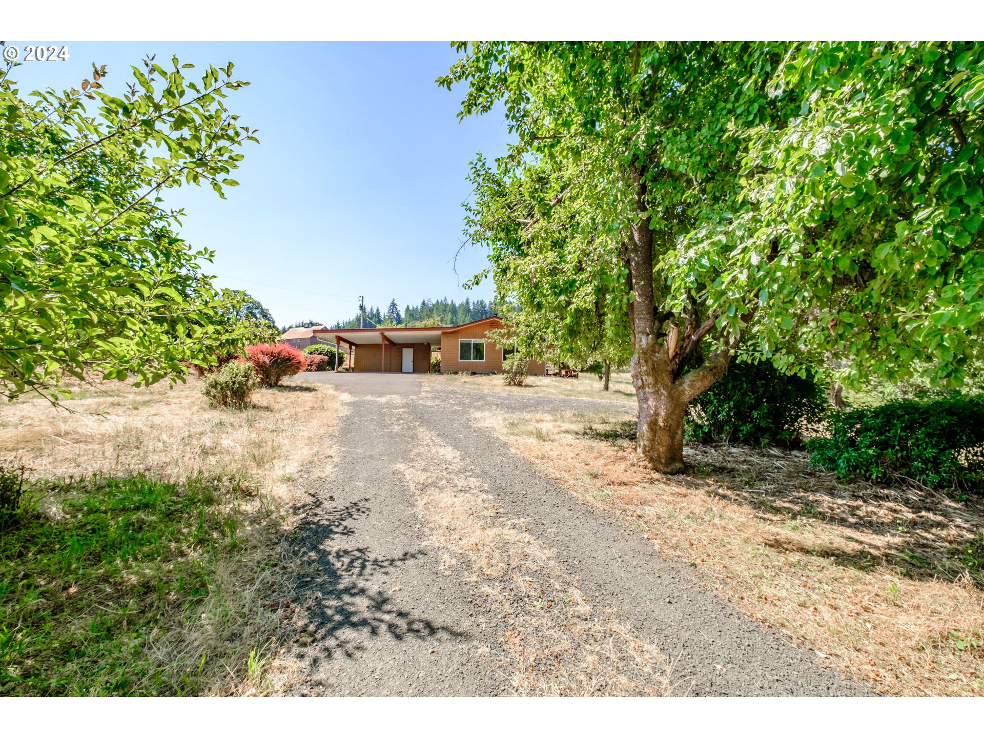 14090 Salt Creek Road Dallas, OR 97338 - Photo 34 of 41 a view of a yard with a tree
