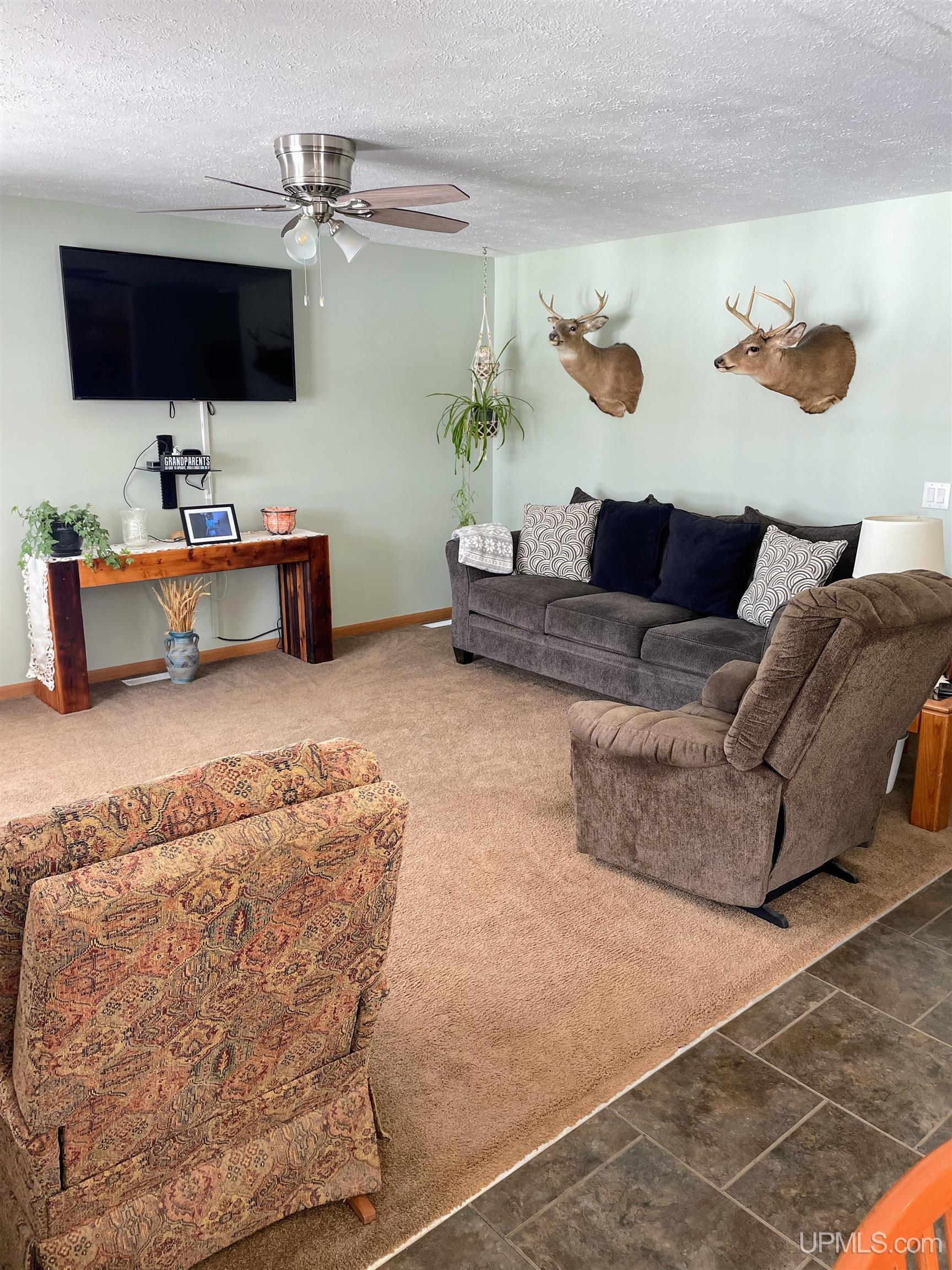 32399 West Piatt Lake Road Eckerman, MI 49728 - Photo 10 of 49