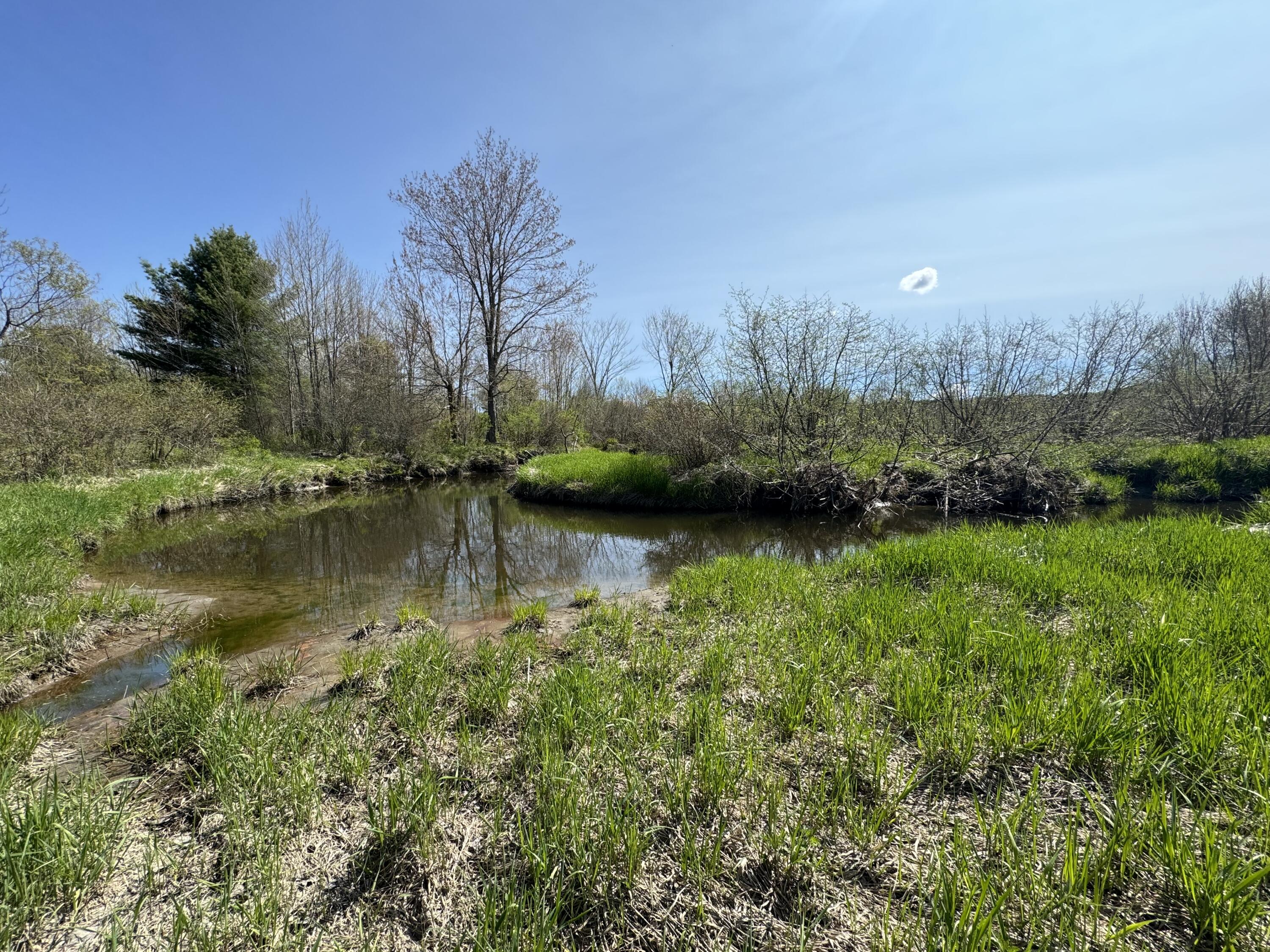 53 Bonin Road Monmouth, ME 04259 - Photo 23 of 29 IMG_1833
