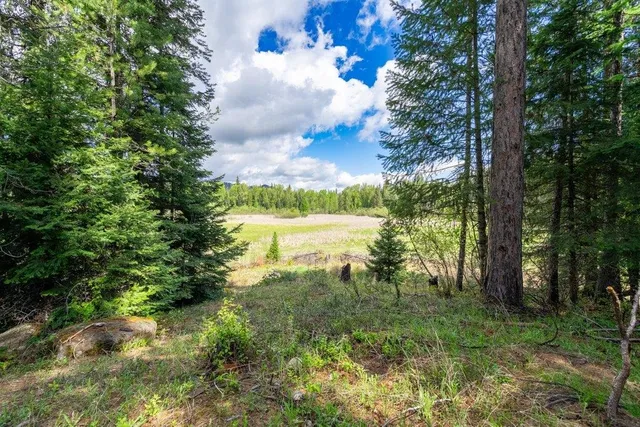 $575,000 | 652 Penny Lane, Usk, WA 99180