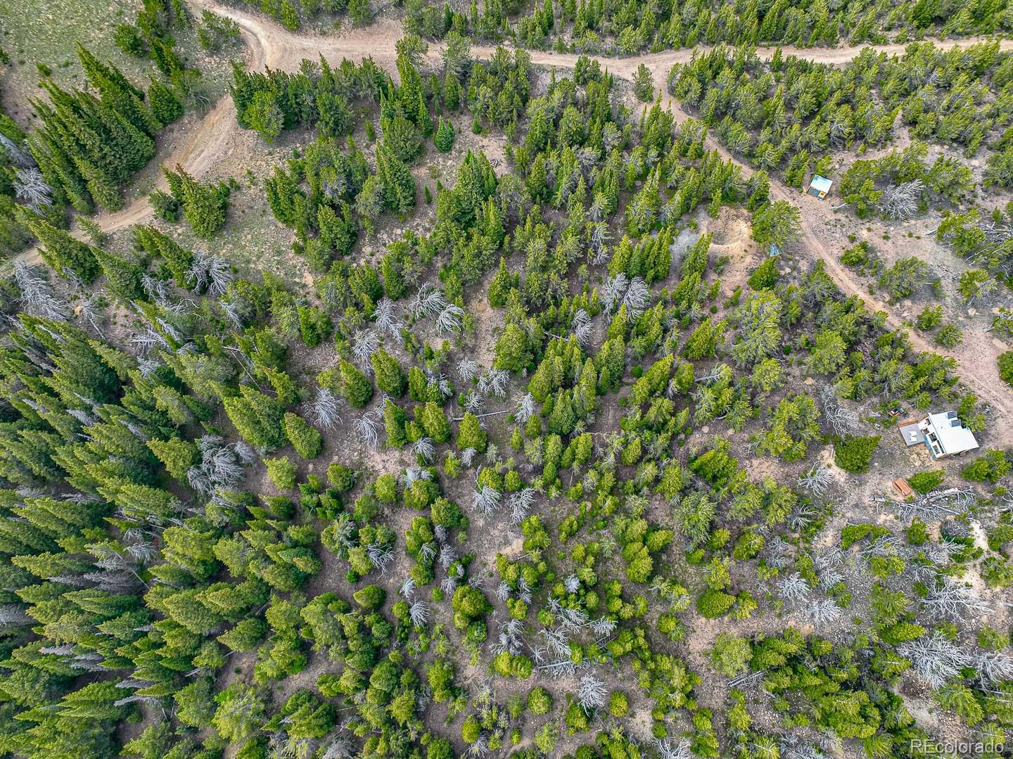111 Mosquito Creek Road Idaho Springs, CO 80452 - Photo 11 of 50 a view of a lush green forest with a houses