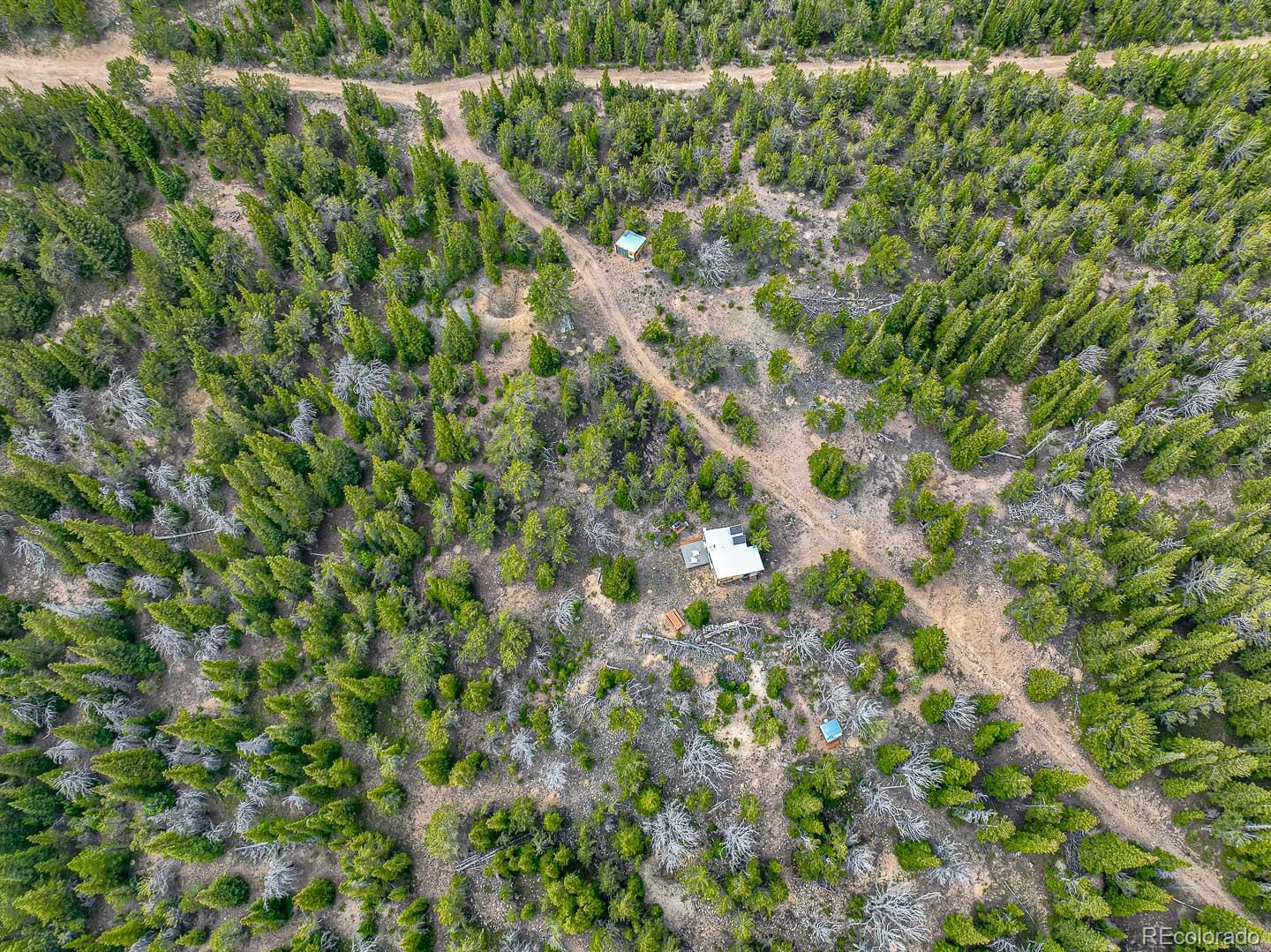 111 Mosquito Creek Road Idaho Springs, CO 80452 - Photo 12 of 50 a view of a forest with a tree