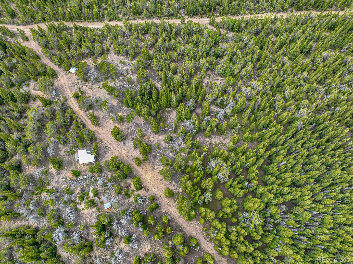 111 Mosquito Creek Road Idaho Springs, CO 80452 - Photo 13 of 50 a view of a forest with a tree