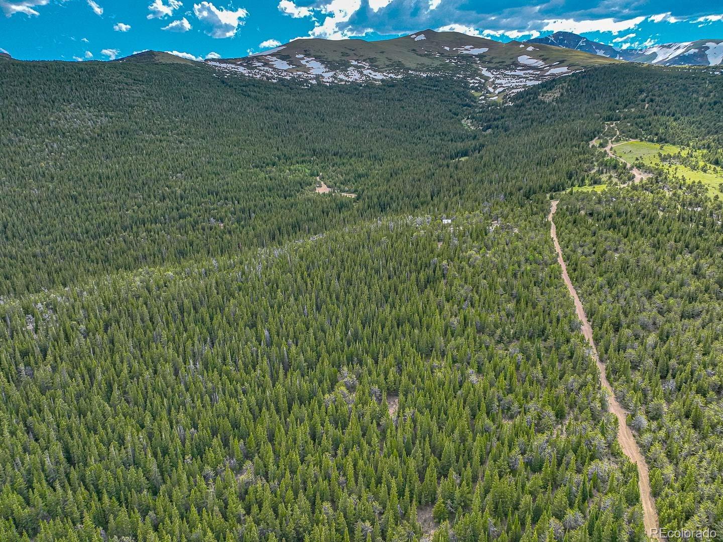 111 Mosquito Creek Road Idaho Springs, CO 80452 - Photo 18 of 50 a view of a lush green forest with a mountain