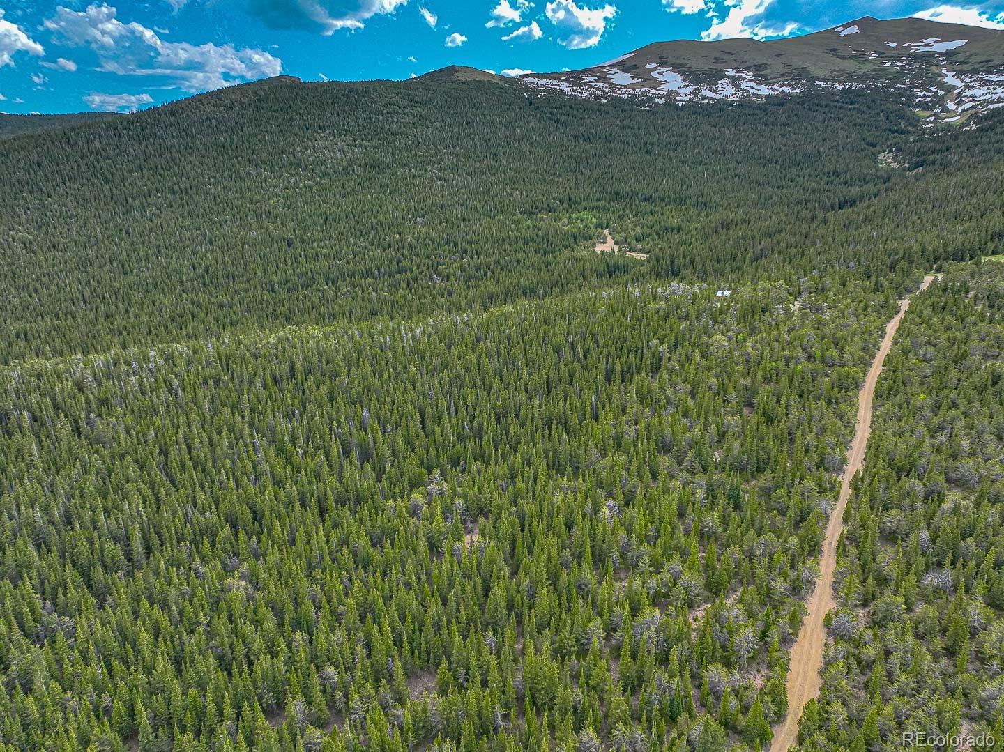 111 Mosquito Creek Road Idaho Springs, CO 80452 - Photo 19 of 50 a view of a lush green forest with a mountain