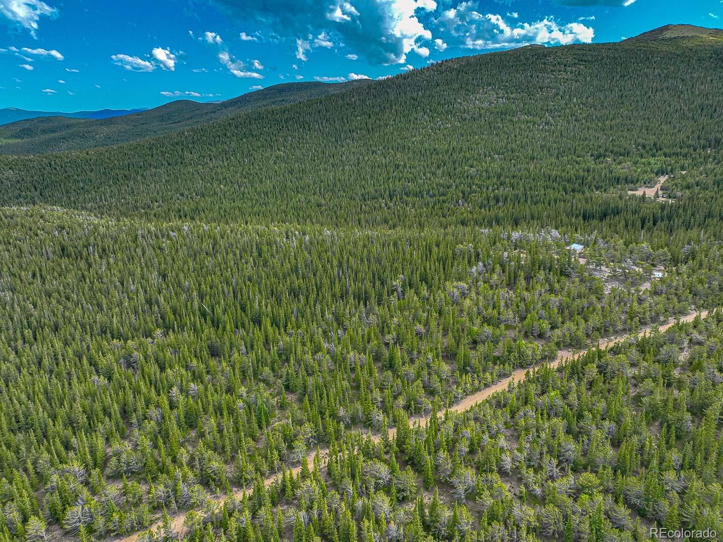 111 Mosquito Creek Road Idaho Springs, CO 80452 - Photo 21 of 50 a view of a green field with lots of bushes